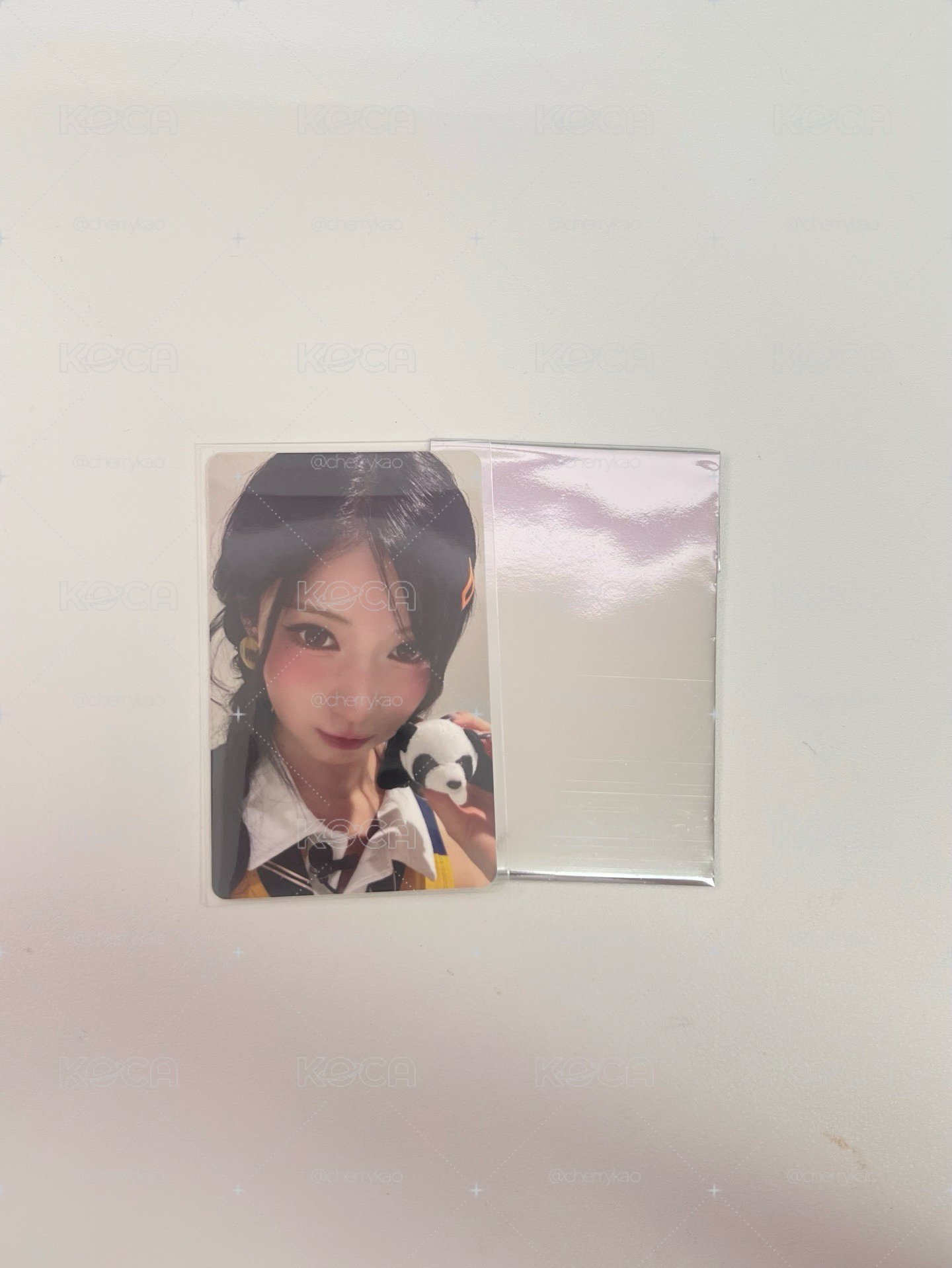 Asa 上海滿額 熊貓