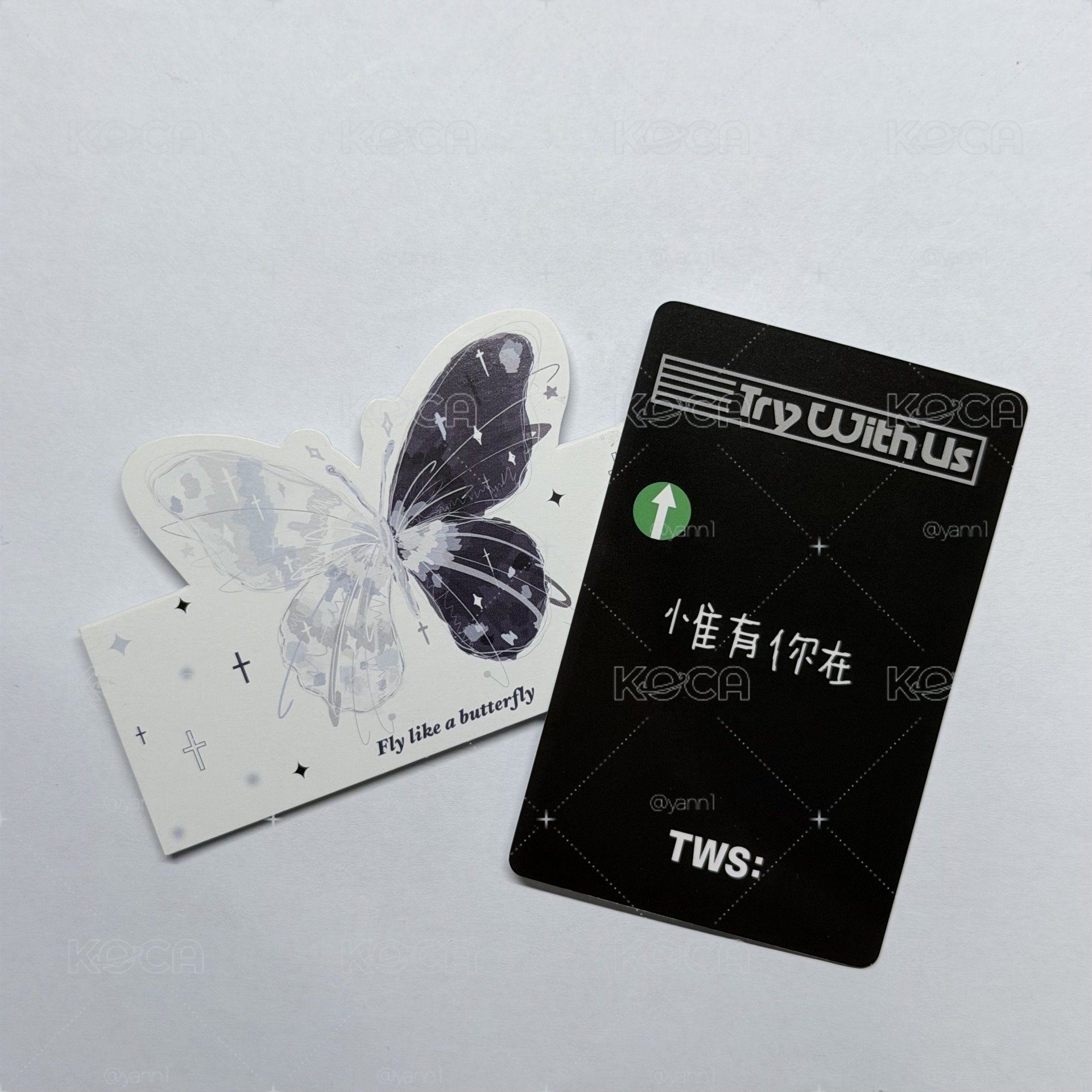 TWS 申惟 中文卡包 惟有你在