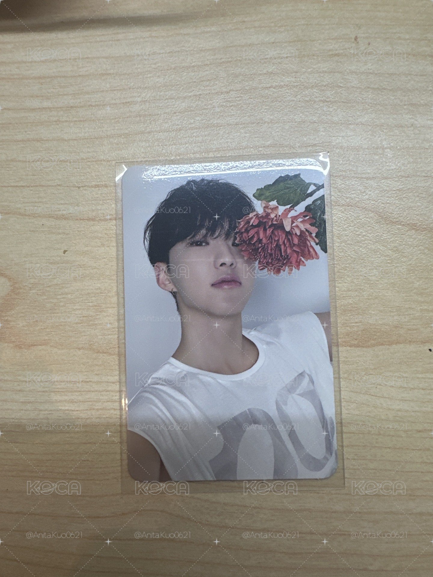 精選專 專輯卡 CARAT ver.