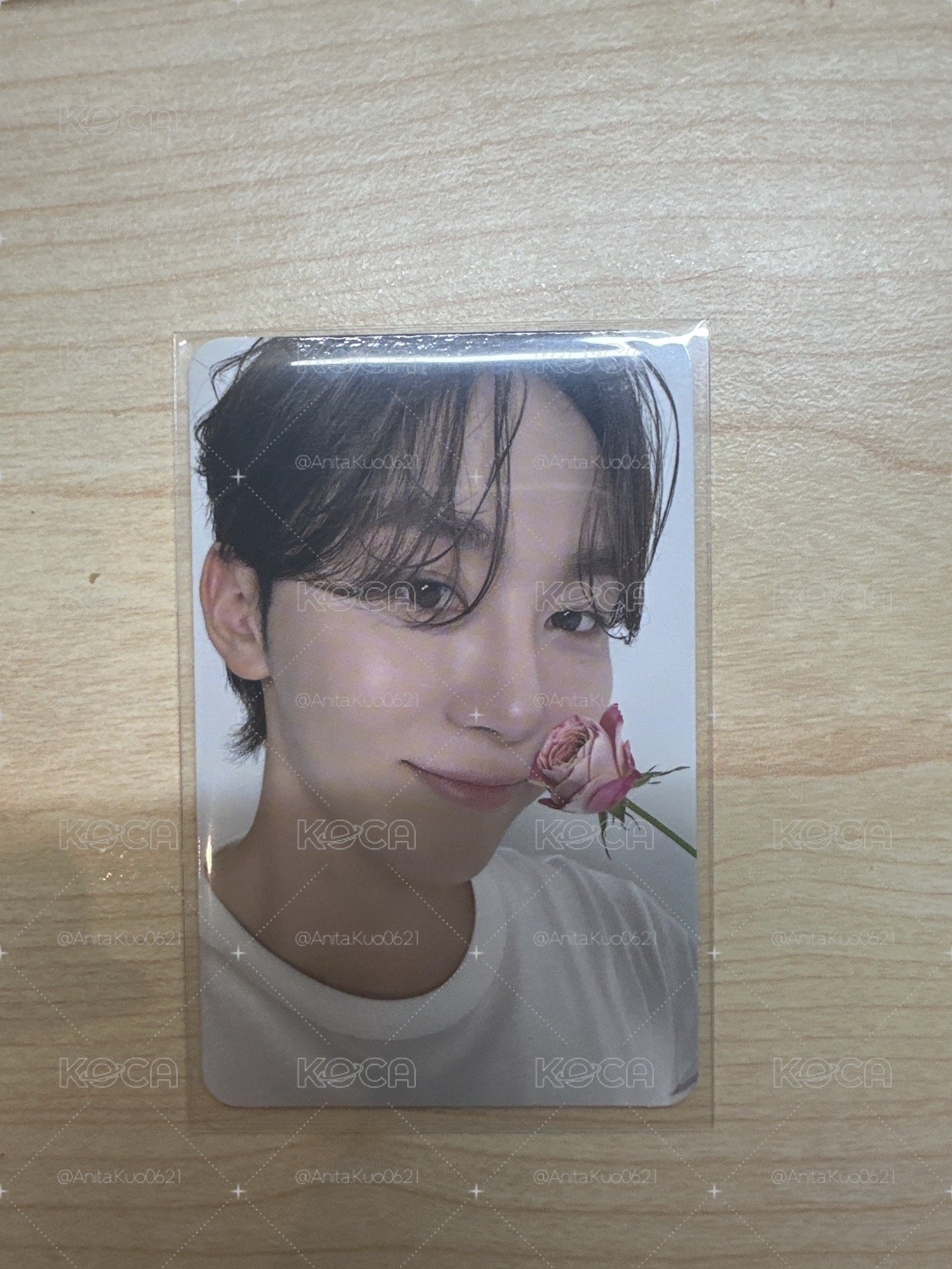 精選專 專輯卡 CARAT ver.