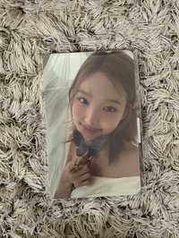 白衣蝴蝶