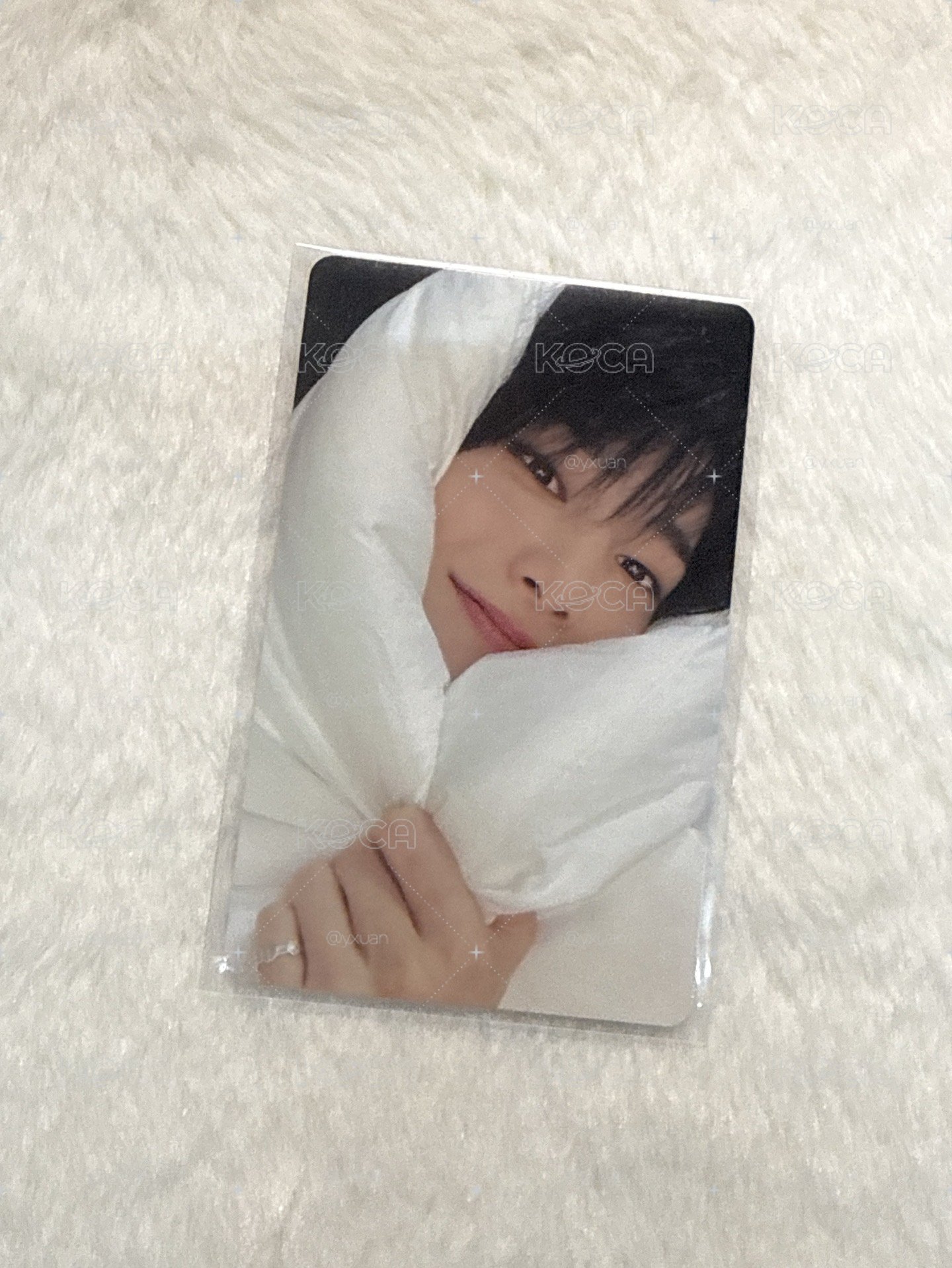 合(HOP) jyp 寅