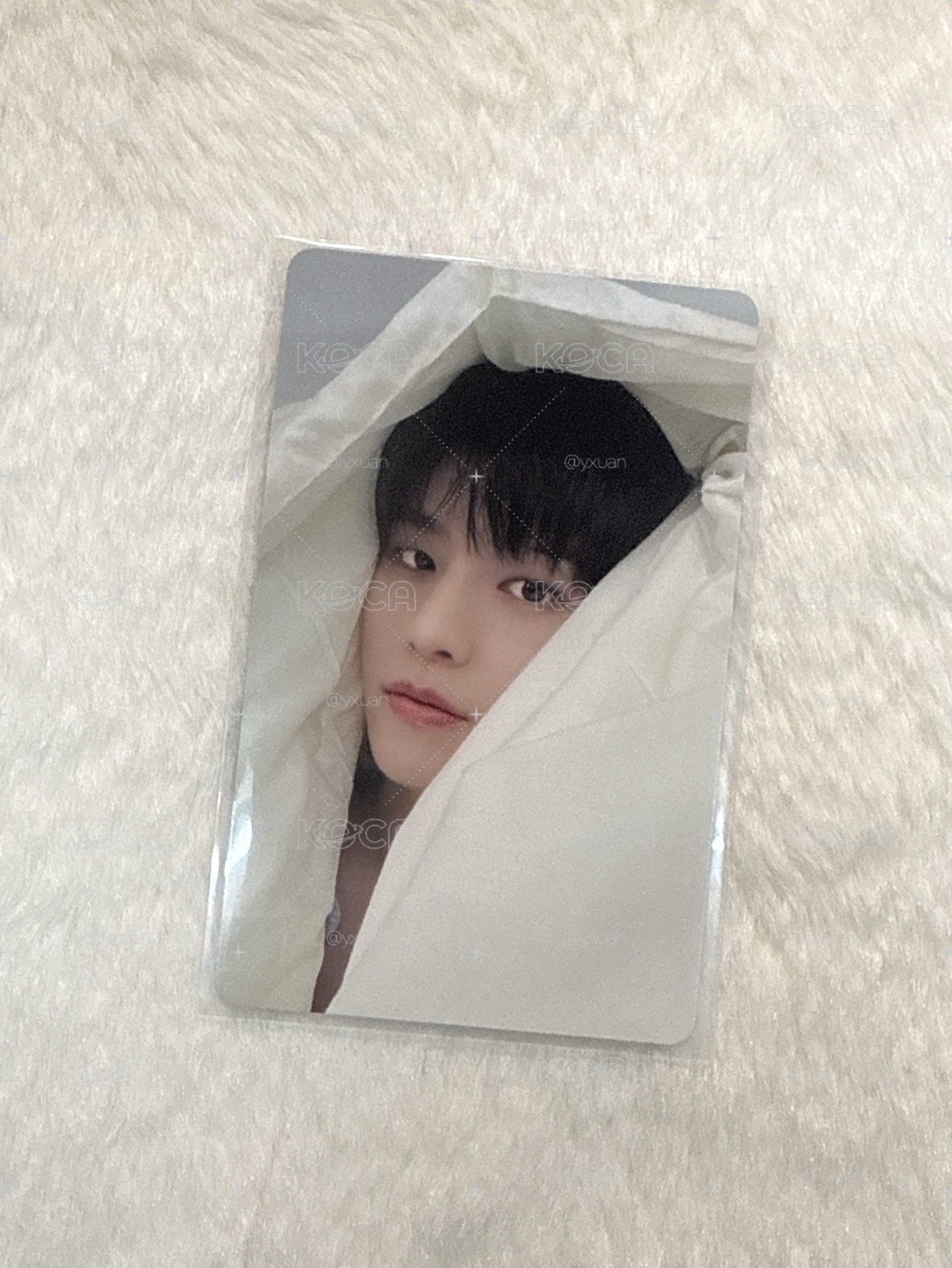 合(HOP) jyp 玟