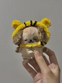 尼諾米