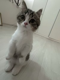 Hunter