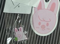 粉皮幸運草+粉彩帶+簽名彩帶彬