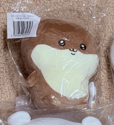nagano 水獺一番賞 C賞
