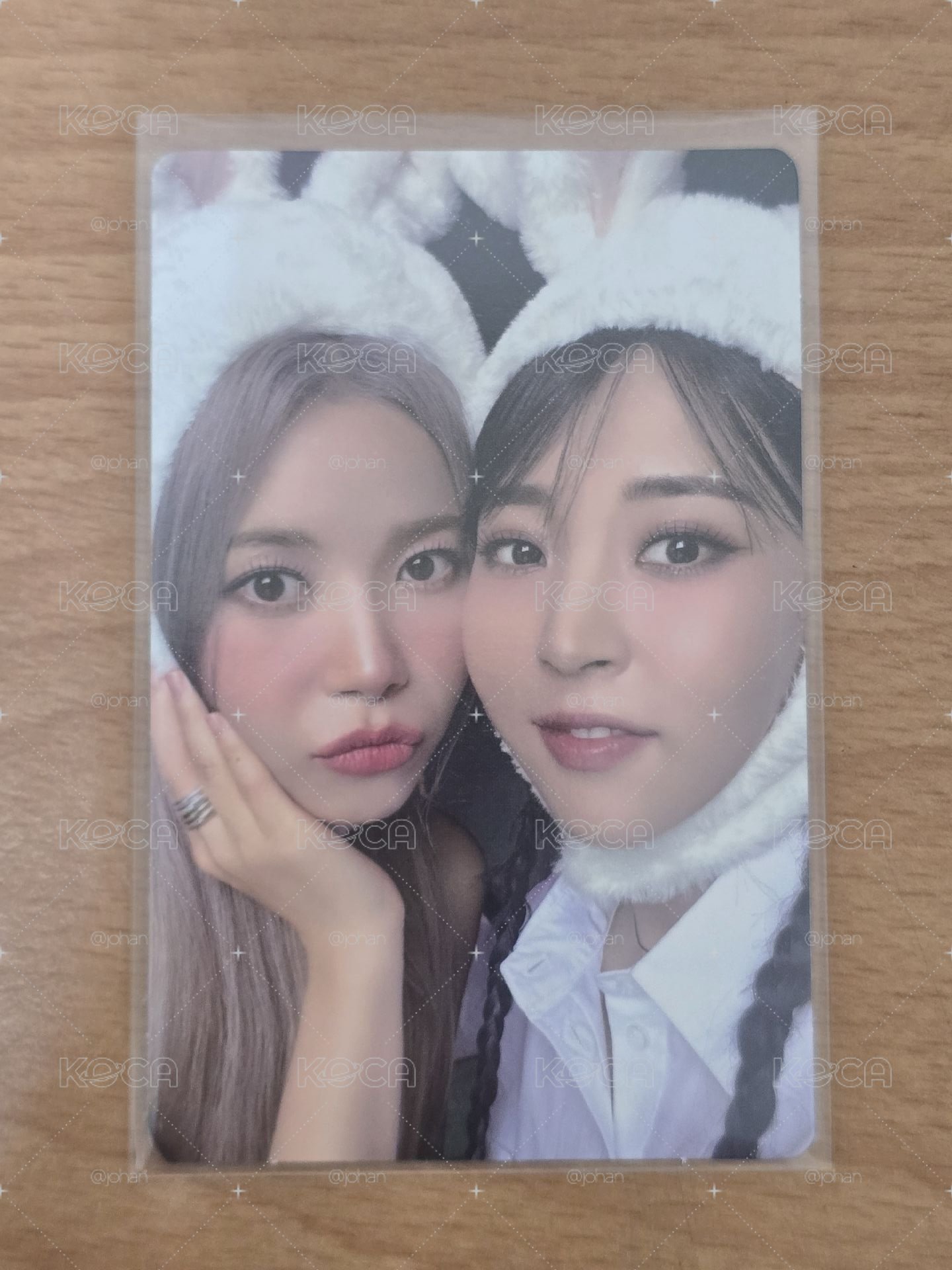 Two rabbits 專卡