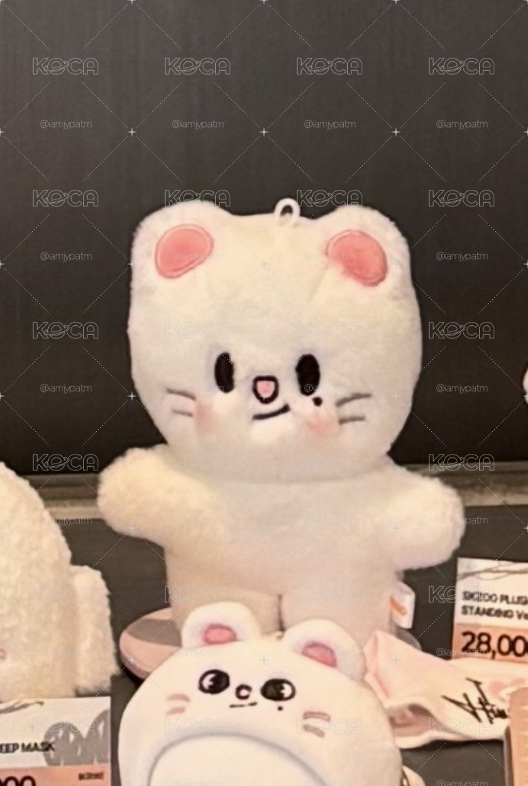 SKZOO 辰 站娃