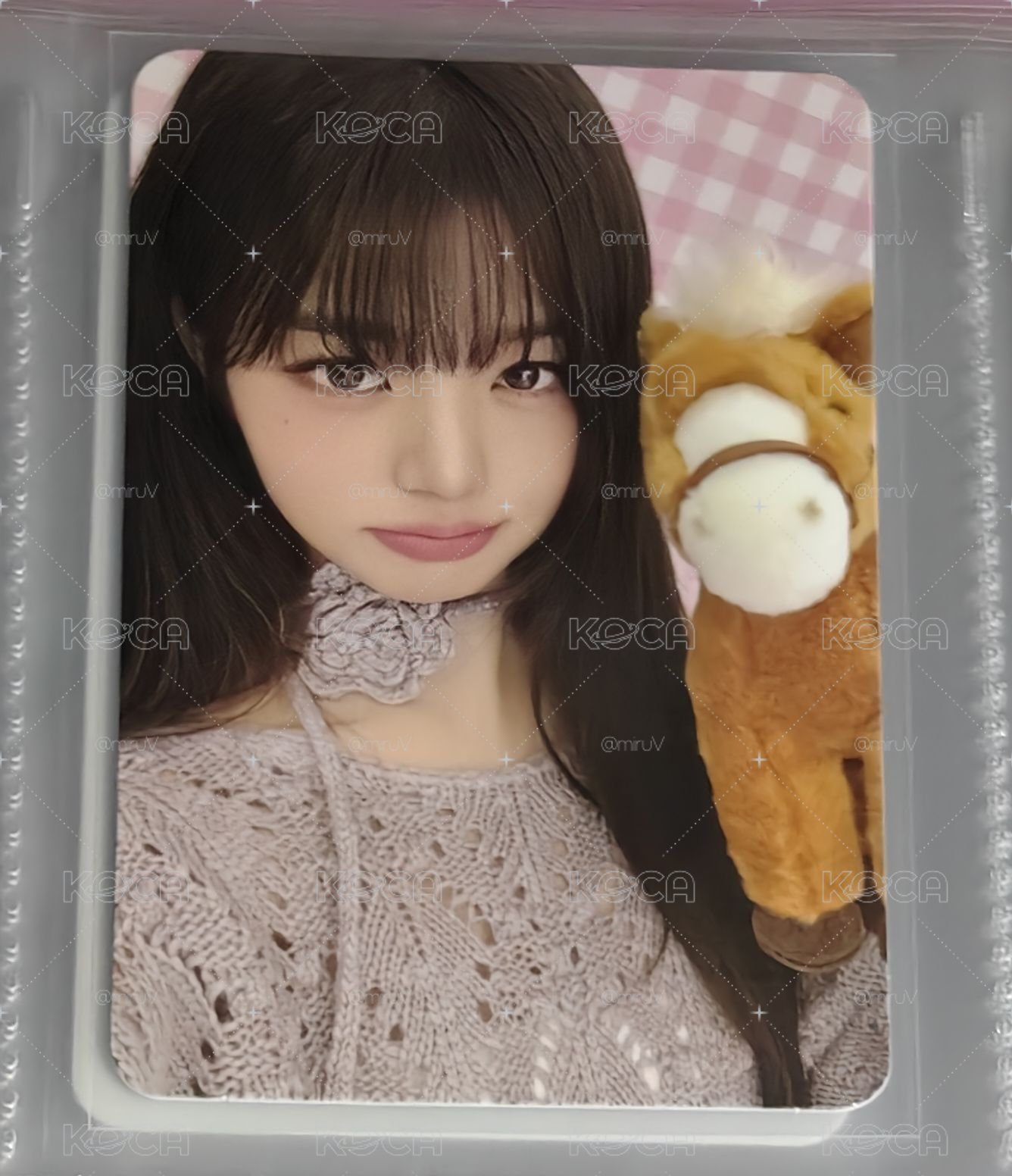 特典卡 小馬寶寶員