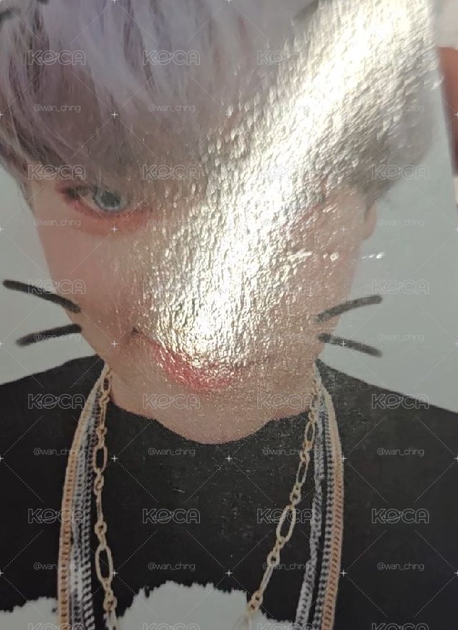 Chanyeol 正五專卡