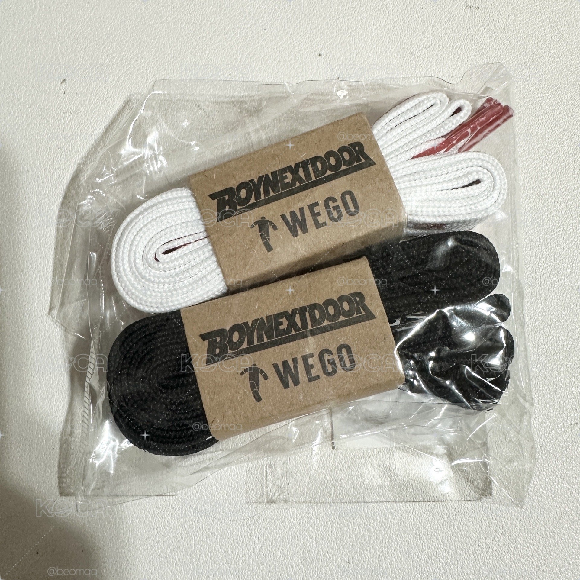 BND 波內豆 日本WEGO聯名鞋帶