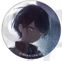 細閃 vol.42 A 徽章 白情花後