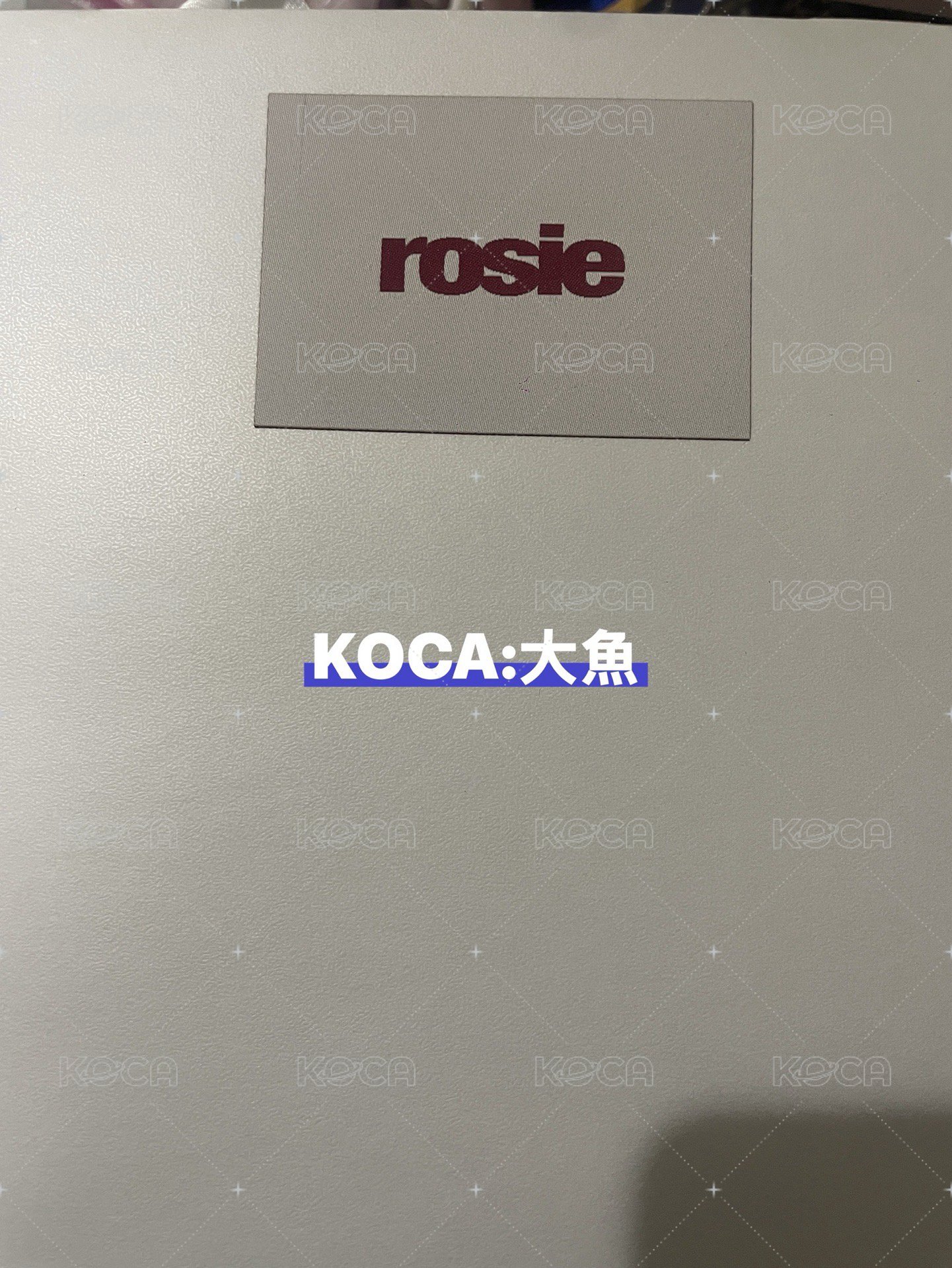 一個紙袋