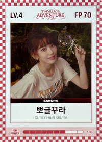 四期會員禮 會員禮卡 LV.4/ FP 70