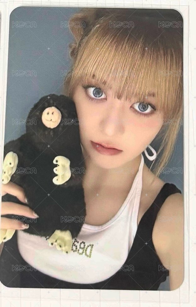 MS 鼴鼠