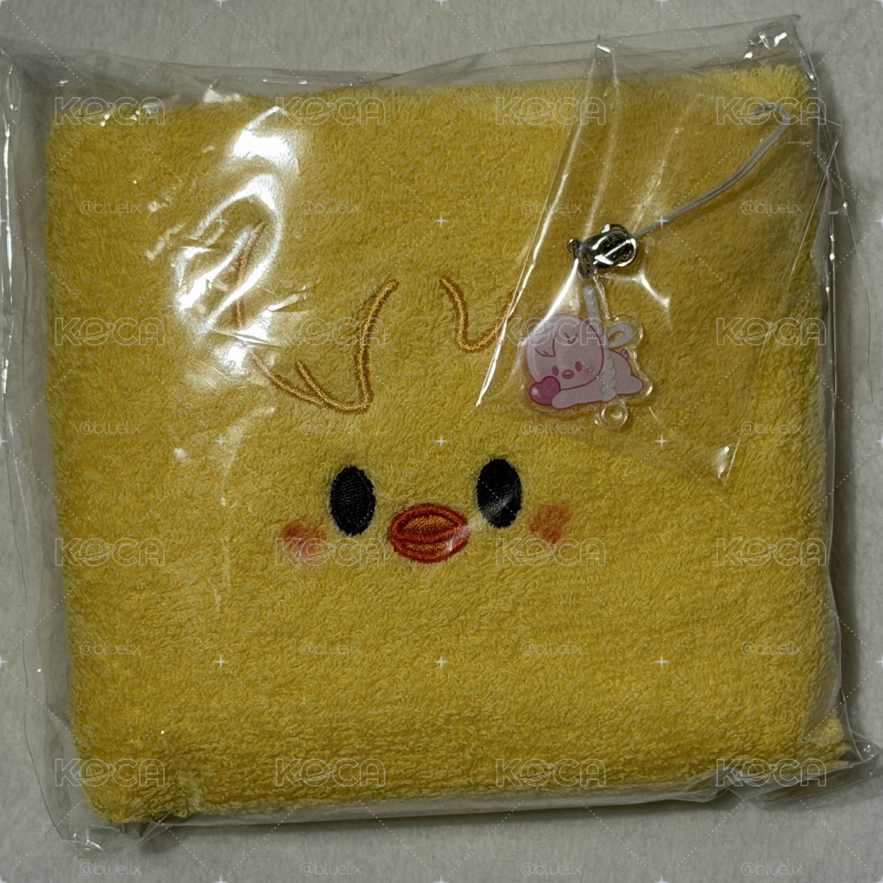飯咪入場禮