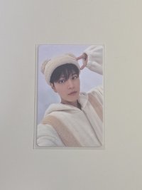 Hollw塔店小狗