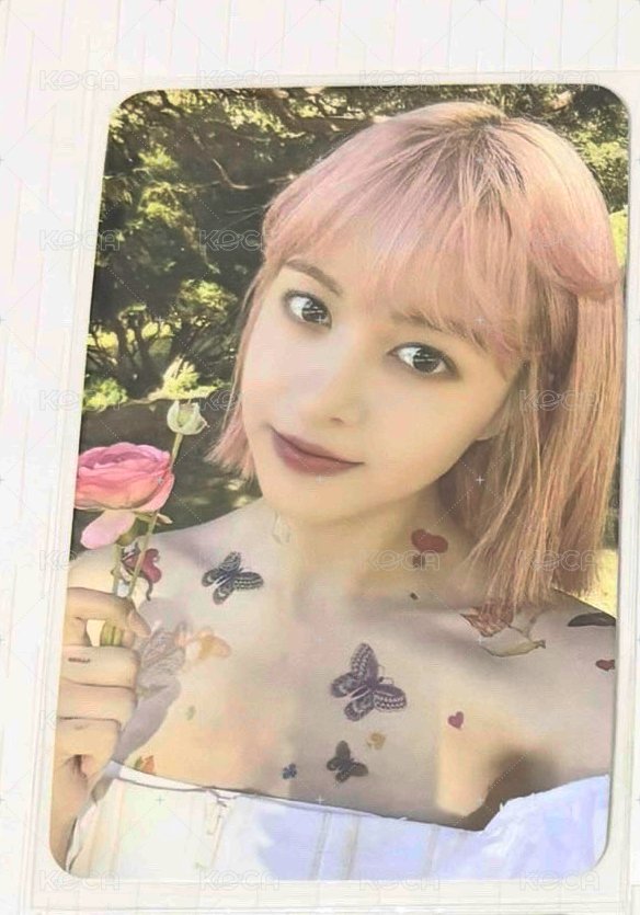 lmlt 拿花中背