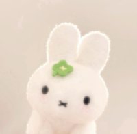 🐰⸝⸝⸝