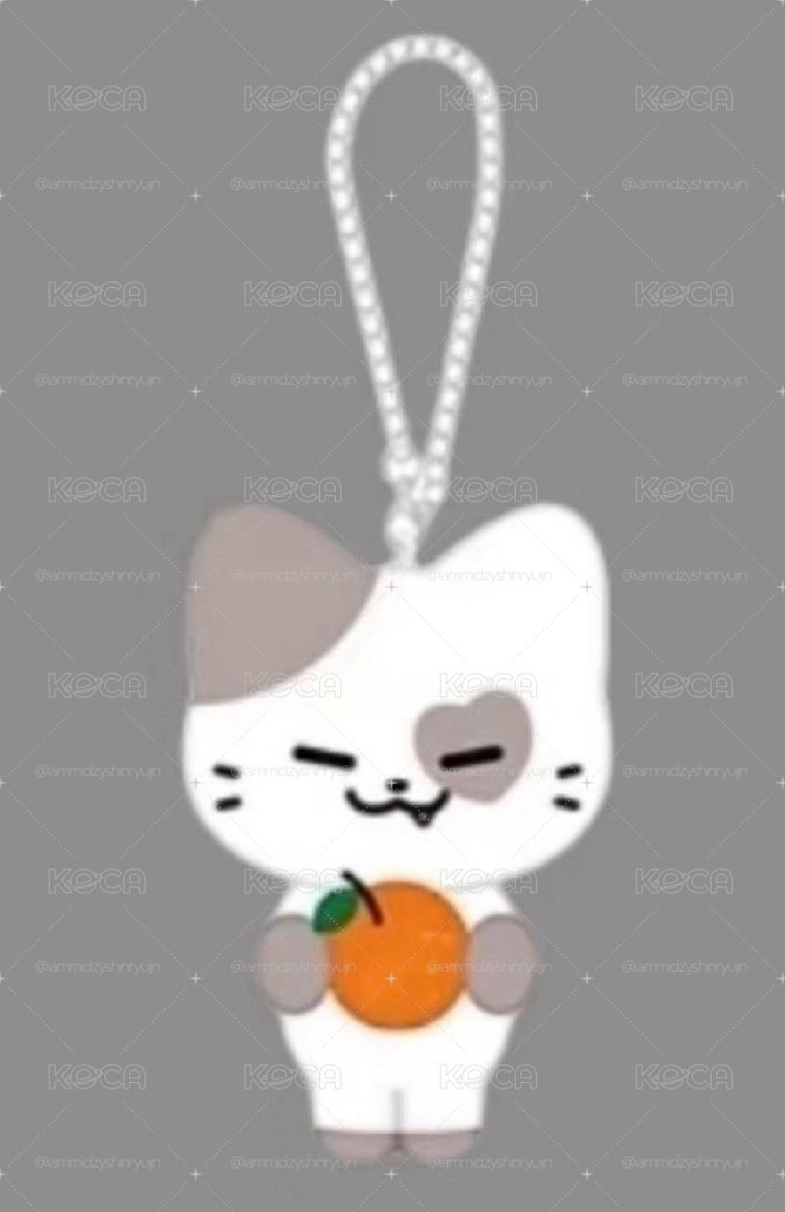 ♪夏日橘子咪♪「得到禮志,失去理智ㅠㅠ」🍬贈送圖三禮志痛包🍬