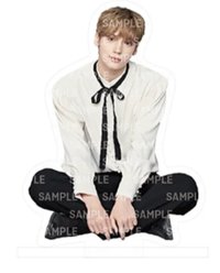 ACT:BOY 立牌 