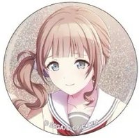細閃 vol.1 A 徽章 一番星花前