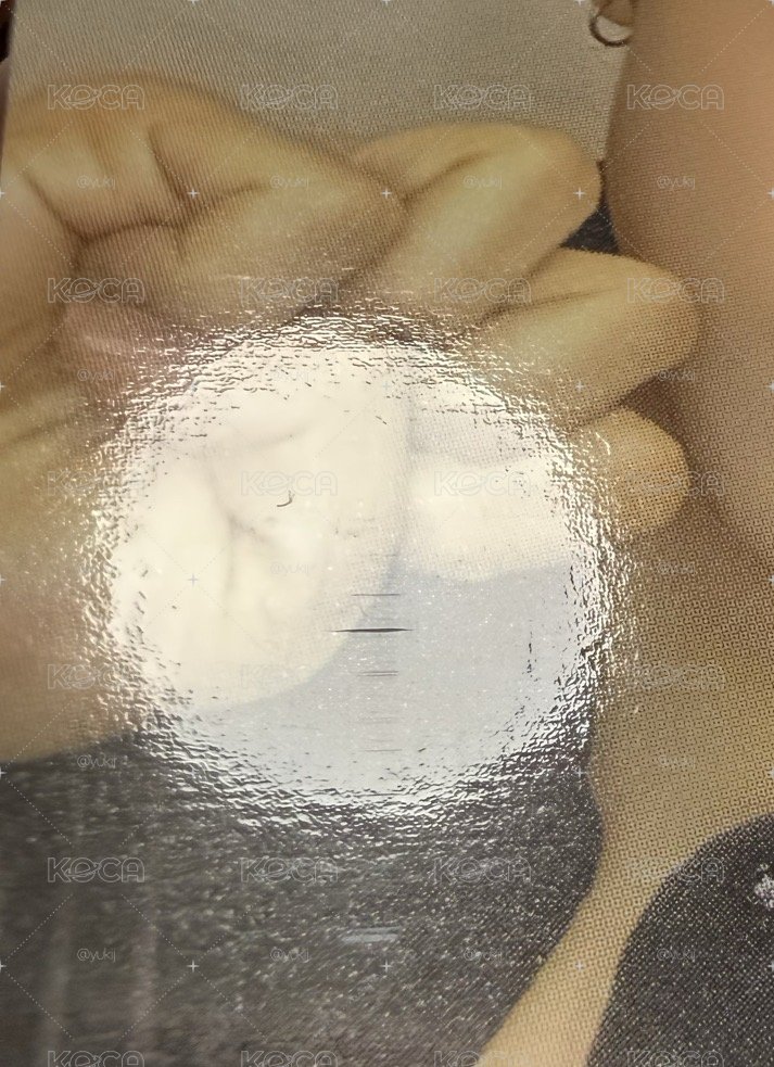 SW 6.0 合照會