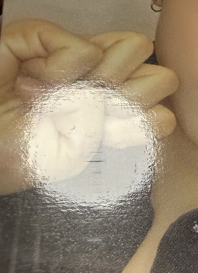 SW 6.0 合照會