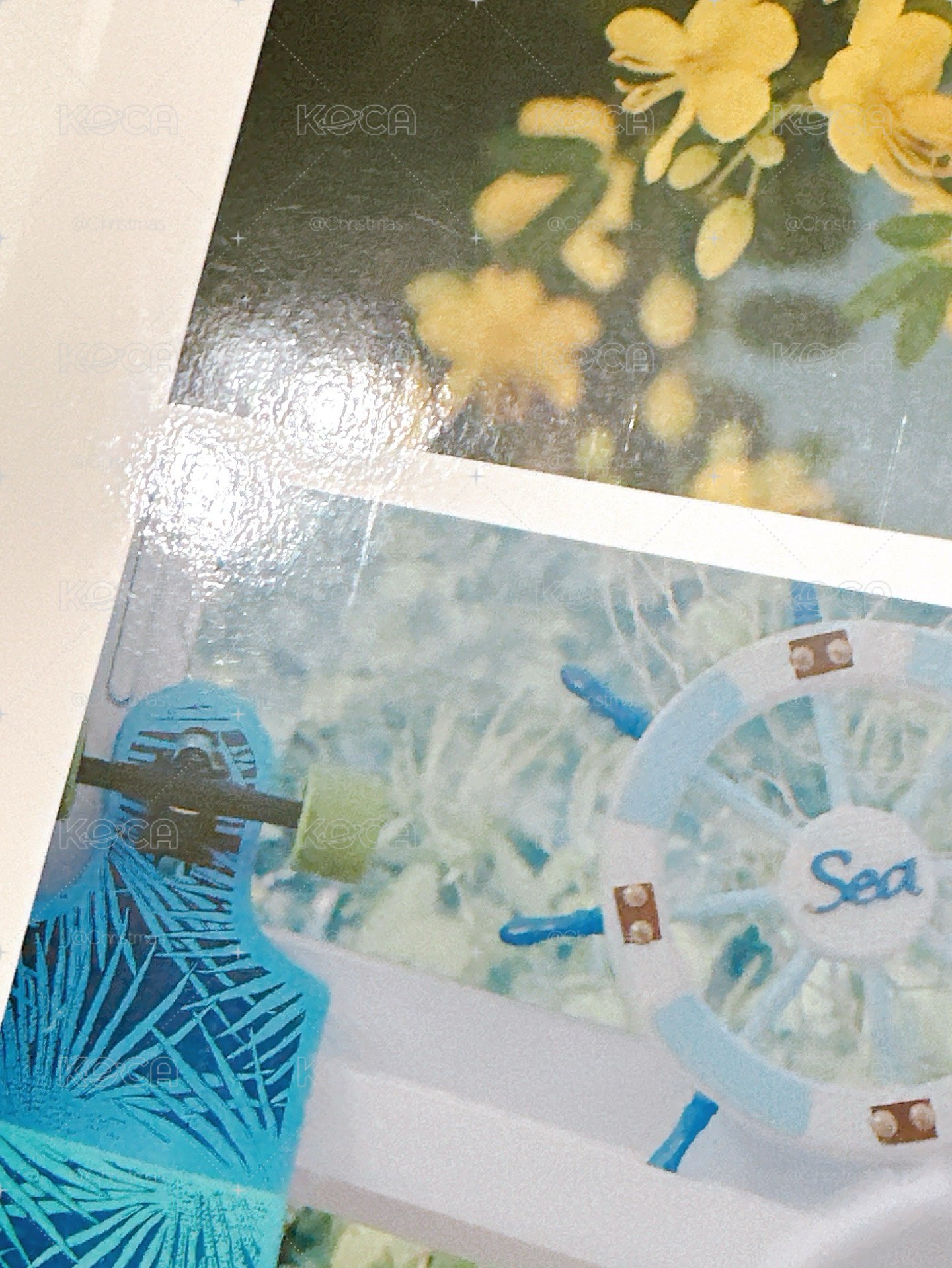Seventeen 日本會員雜誌 vol.12