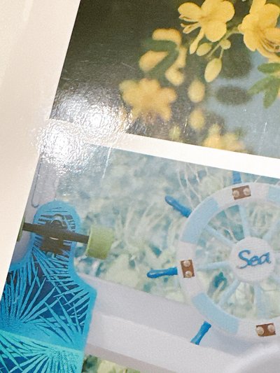 Seventeen 日本會員雜誌 vol.12