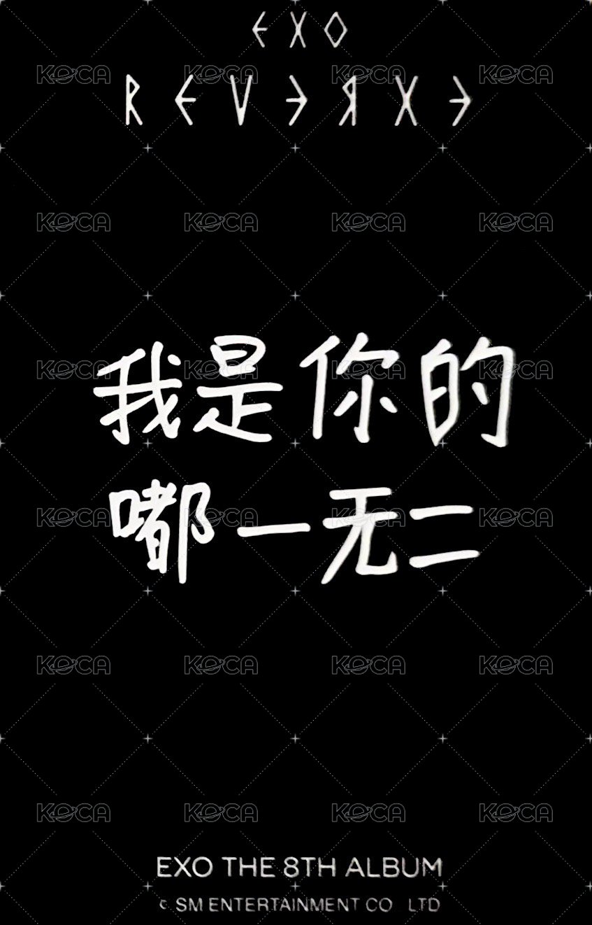 Reverxe 小芒 深圳 簽售卡  背面
