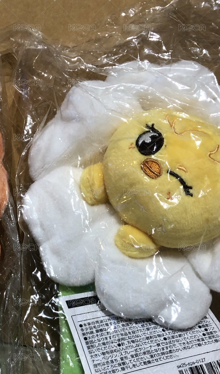 菲
