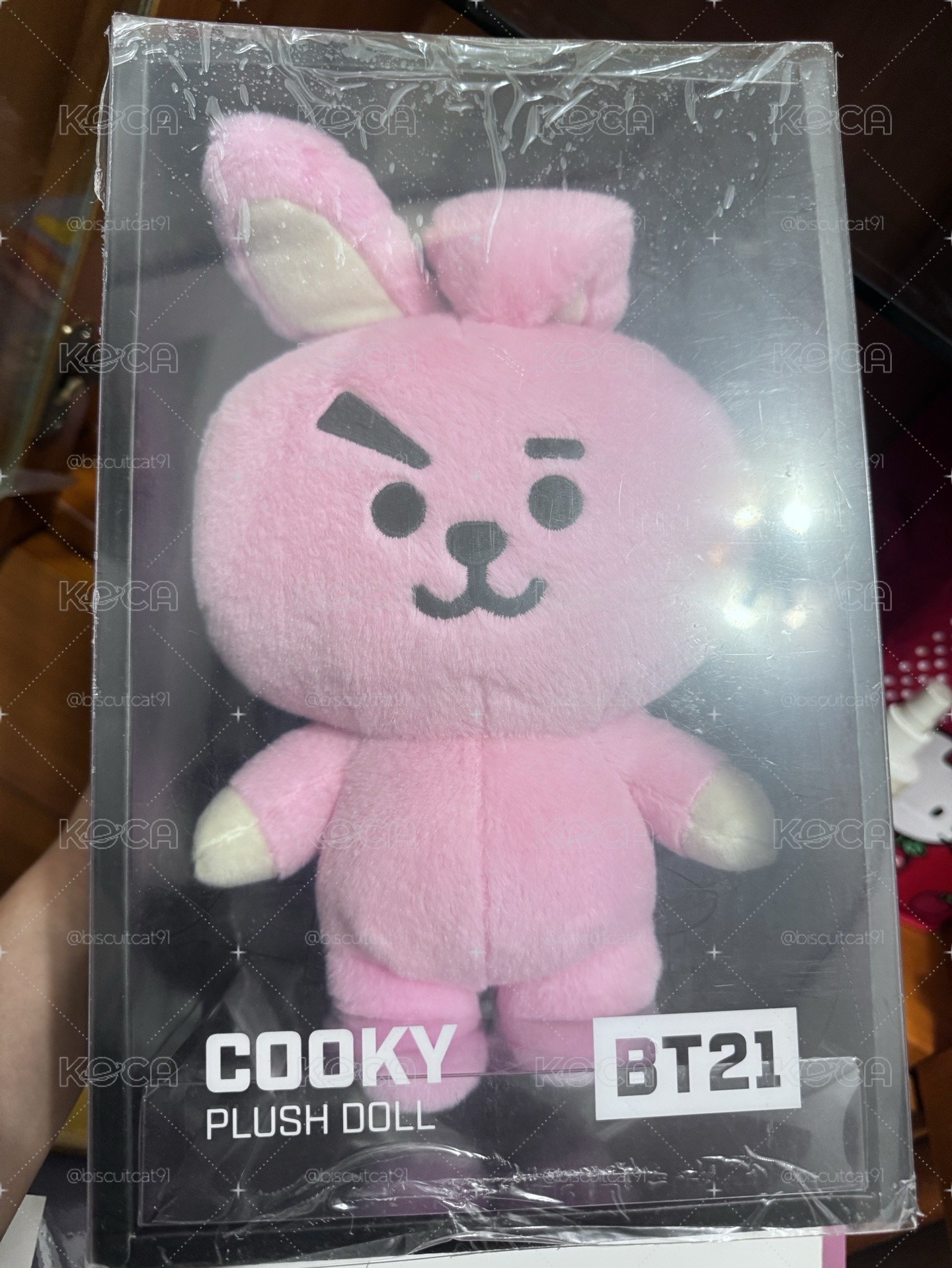 COOKY 初代 站娃
