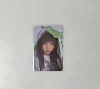 EL龍貓