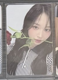 玫瑰含圖二一張