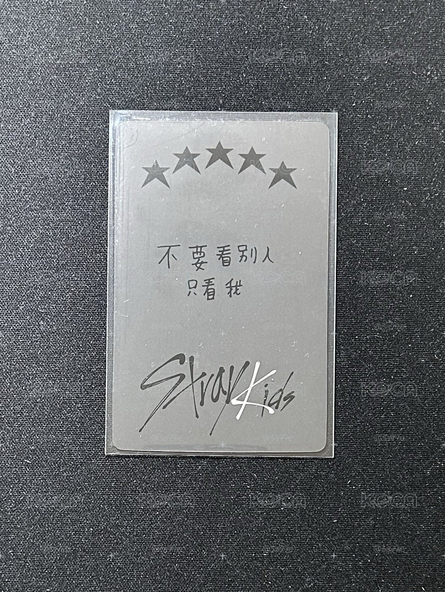 5-STAR 一直娛中背玟