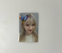 MS蝴蝶