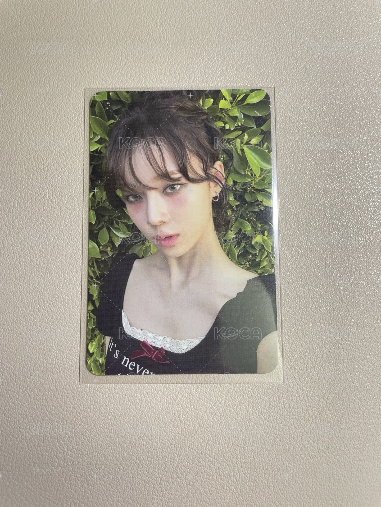 美網專卡冬