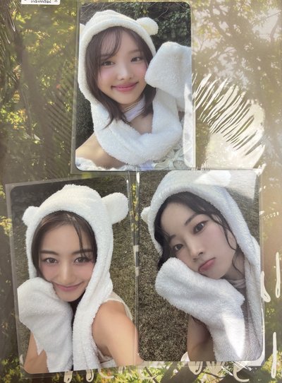 TWICE 迷13 With YOU-th 專卡 熊帽🐻‍❄️娜效豆