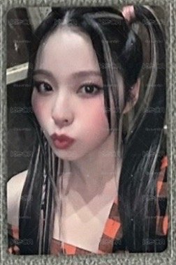 wm預售圭