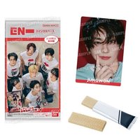 萬代扭蛋/食玩 威化餅收藏卡