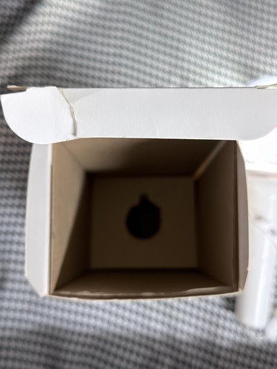 （現貨 紙箱寄出 可當日寄出）straykids 一代手燈