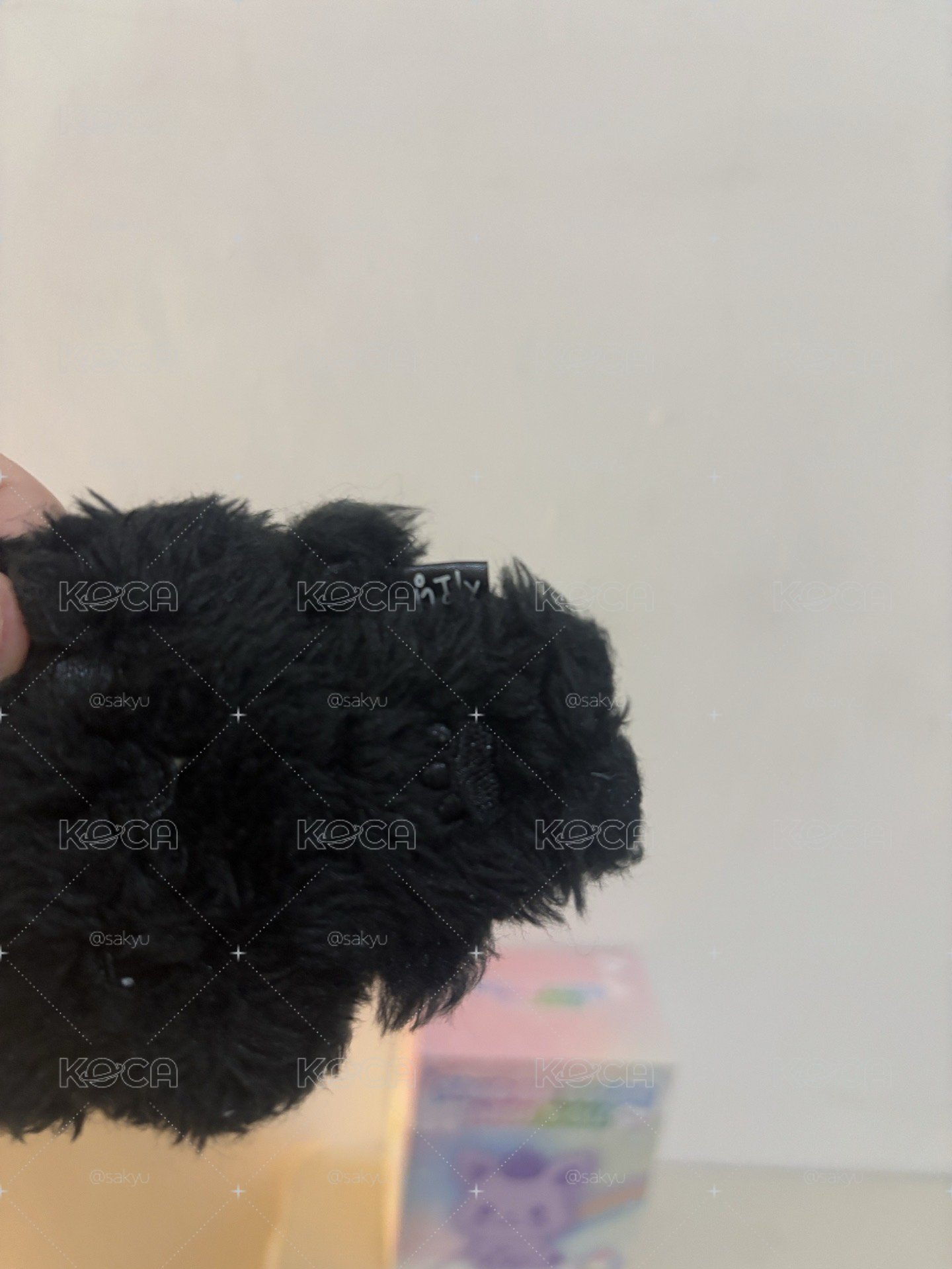 Sion 彩娃 黑薯