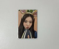 MS倉鼠