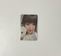 🌟K4抱熊