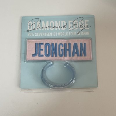 2017 DIAMOND EDGE 布章 別針襟章 尹淨漢