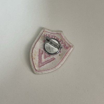 2017 DIAMOND EDGE 布章 別針襟章 尹淨漢
