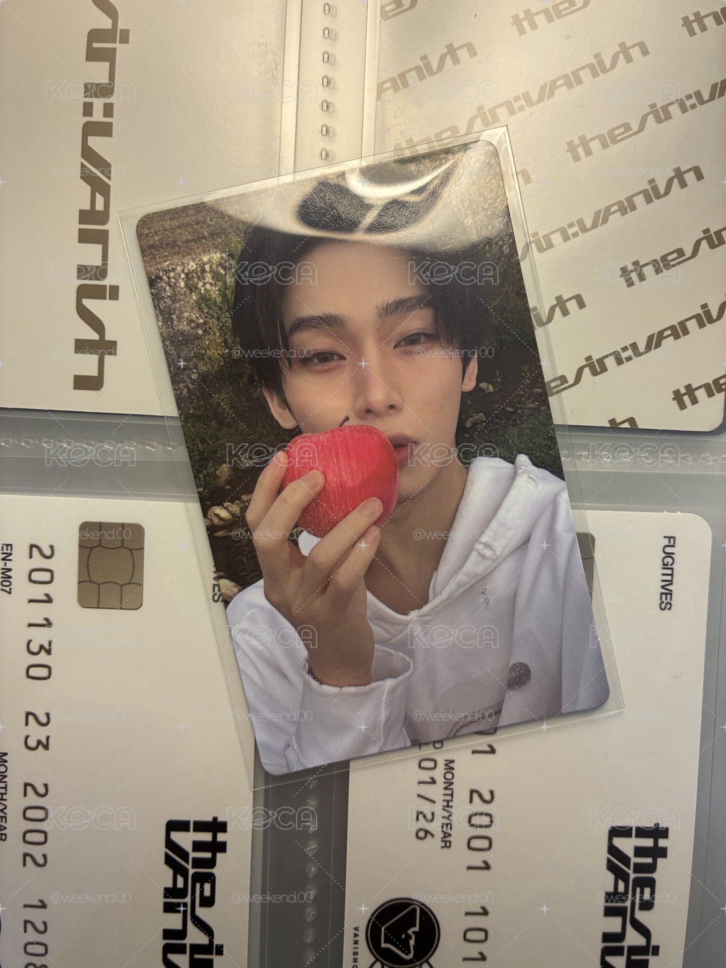 🦊🍎