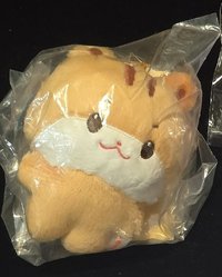 中寶寶娃